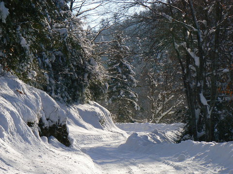 Neige dans les Alpes - Snow in the Alps (Vercors), France