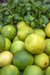 Lime and mint on the market