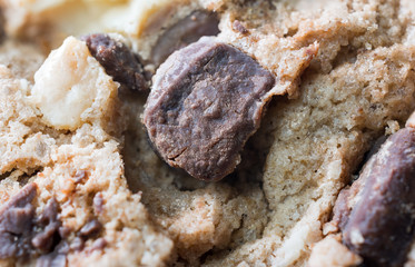 Extreme Macro Of Some Bittersweet And White Chocolate Chips On A Cookie