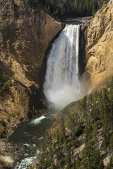 Lower Falls of the Yellowstone River plunge into the valley.