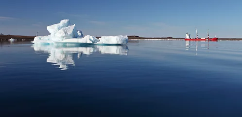 Deurstickers Iceberg and cargo ship   © Vladimir Melnik