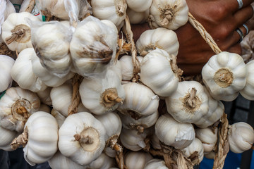 garlic group from a farmer