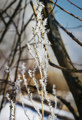 Russian winter forest road in snow