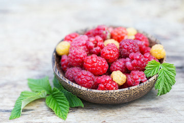 Raspberries in garden