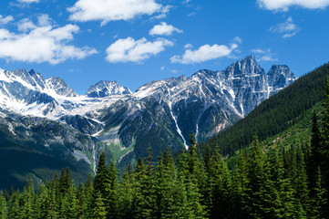 Mt view from Rogers Pass
