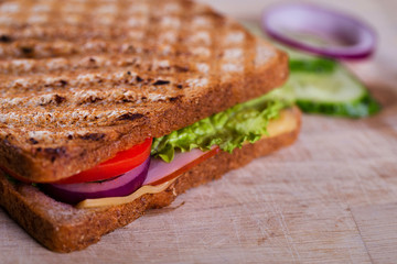 Fresh grilled sandwich