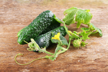 Cucumbers with leafs on wooden background