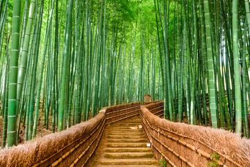 Türaufkleber Badezimmer Kyoto, Japan Bambuswald