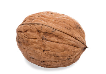 close-up of a walnut on the white background