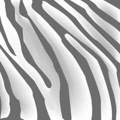 Texture of zebra skin, black and white stripes - 97158086