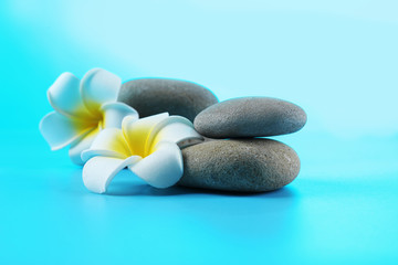 Fototapeta na wymiar Spa stones and flowers on blue background