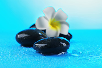 Spa stones and flower on blue background