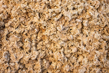 Texture of limestone blocks