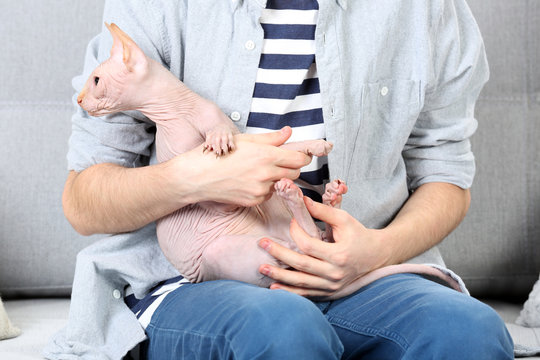 Young man holding a cat on couch at home