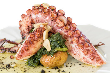 grilled octopus
