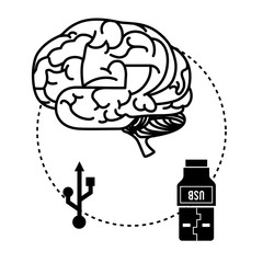 USB portable memory or cable