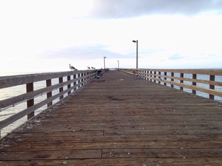 Obraz premium birds on pier