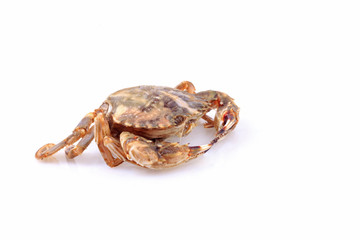 Crab