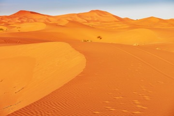 Sand dunes in the Sahara Desert