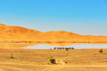 Fototapeta na wymiar Oasis lake in Sahara desert, Merzouga, Africa