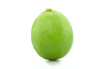 lime on white background