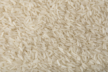 Jasmine Rice - filling the frame
