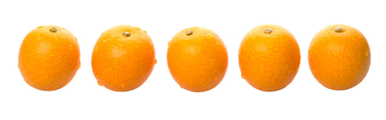 Fresh kumquat fruits over white background