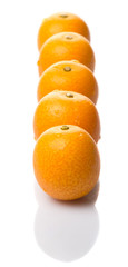 Fresh kumquat fruits over white background