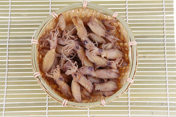 Cuttlefish