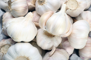 Garlic background