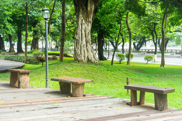 wood chairs in the park