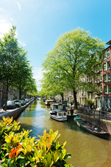 Fototapeta premium Amsterdam with green canal in the downtown, Holland