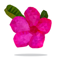 Beautiful hot pink of Desert Rose Flower, Low polygon