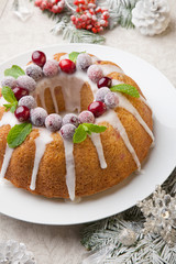 Christmas Cranberry Cake