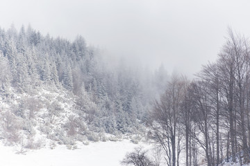Winter scenery in the mountains with fresh powder snow