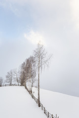 Winter scenery in the mountains with fresh powder snow
