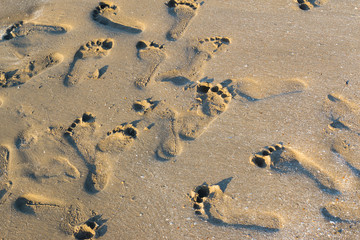 Footprint in the Sand
