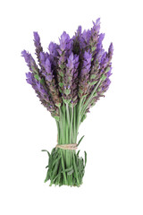 Fototapeta premium bundle of lavender