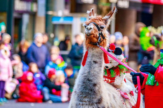 Thanksgiving Macy Parade 2015