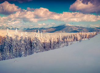 Panorama of the foggy winter morning in mountains
