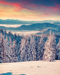 Obrazy  Mglisty zimowy wschód słońca w zaśnieżonej górze