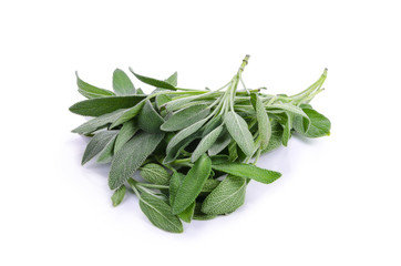 Fototapeta premium Sage plant on a white background