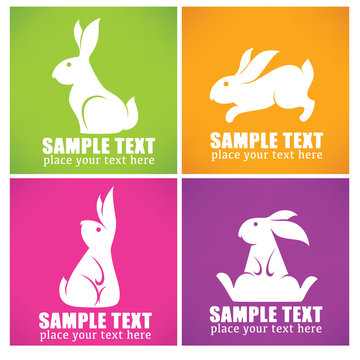 colorful easter rabbit collection
