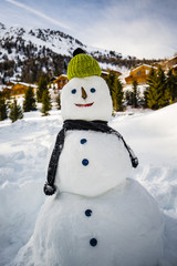 Fototapeta premium Winter, snow, snowman - winter joy