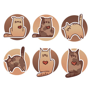 funny cats cats, my favorite pets, vector doodle collection