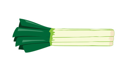 Vector image of leeks