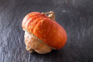 Turk's Turban Squash (Cucurbita maxima)