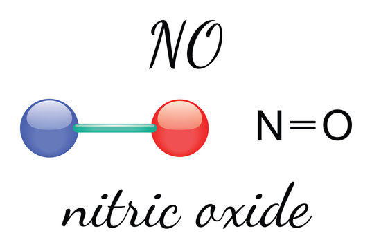 NO nitric oxide molecule