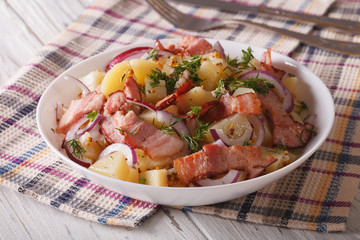 German potato salad with bacon close up. horizontal
