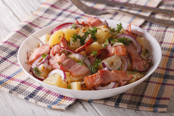 German potato salad with bacon close up. horizontal
